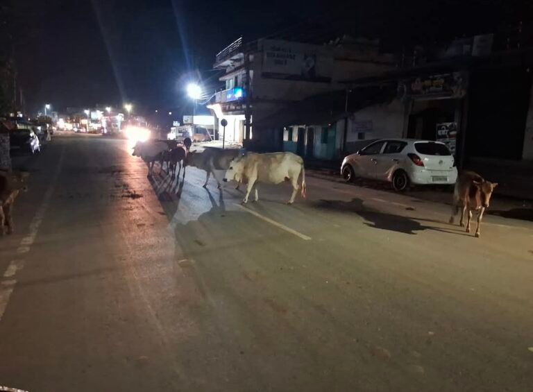 कोंडागांव