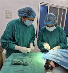 कोंडागांव