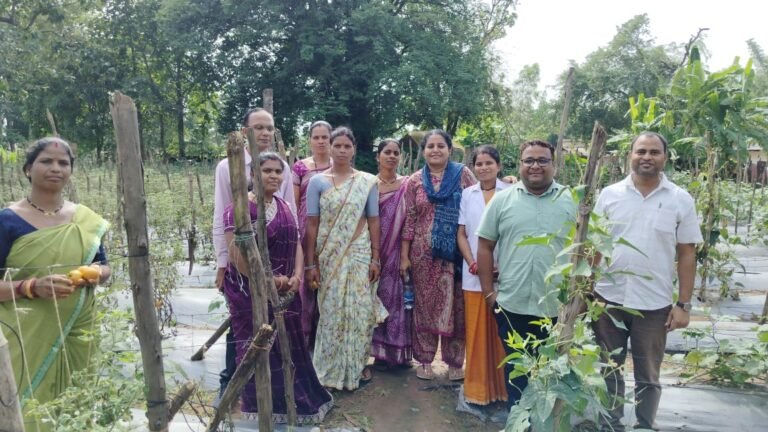 कोंडागांव