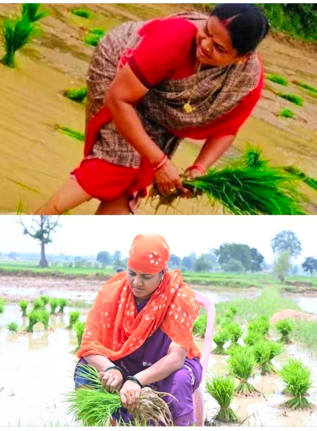 कोंडागांव