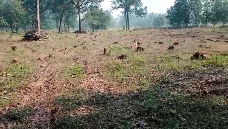 Screenshot_20251028_150654