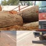 Screenshot_20260413_221453